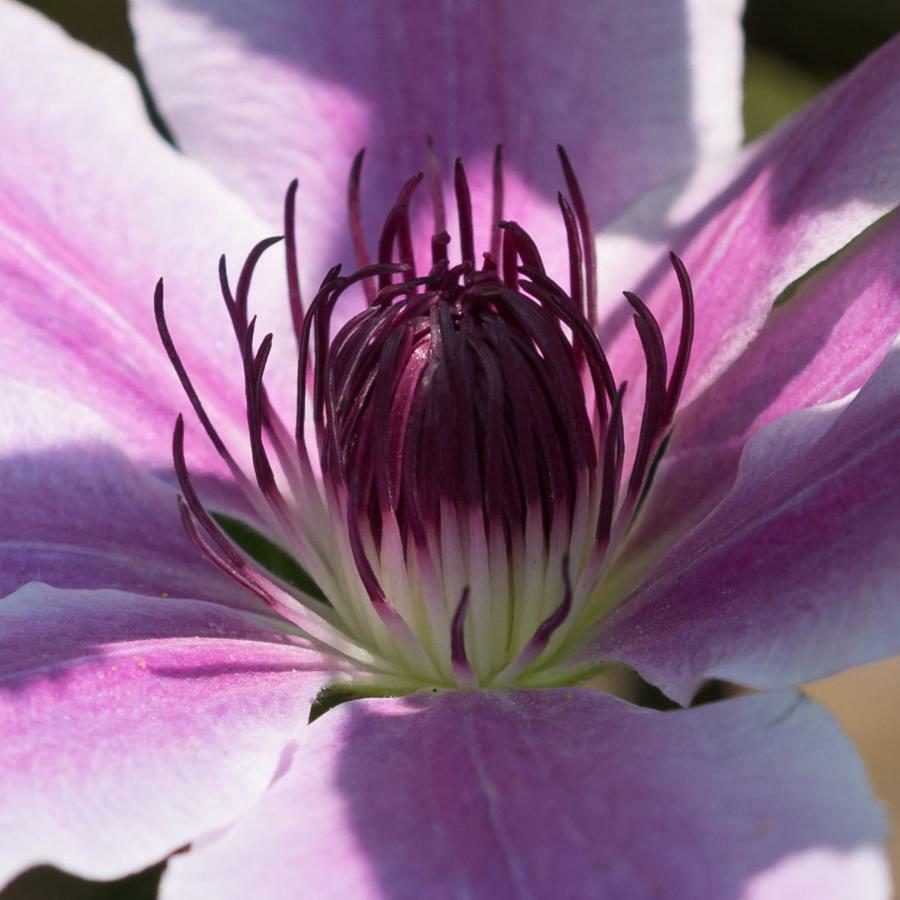 Ferienhaus Blumenparadies 슈타인츠 외부 사진